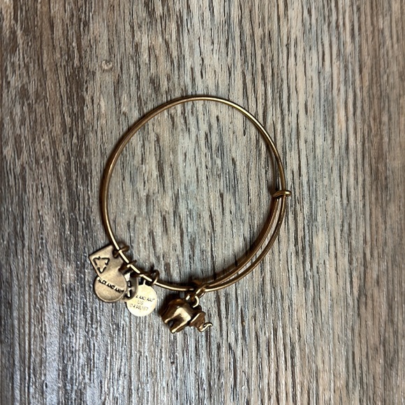 Alex and Ani Gold Elephant Bracelet - Picture 3 of 4